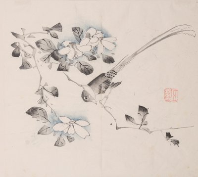 Seite aus Shi Zhu Zhai von Unbekannt