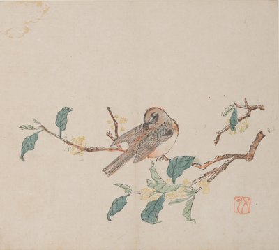 Seite aus Shi Zhu Zhai von Unbekannt