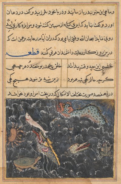 Seite aus den Geschichten eines Papageis Tuti-nama: Elfte Nacht: Die Kreaturen des Meeres, ca. 1560 von Unbekannt