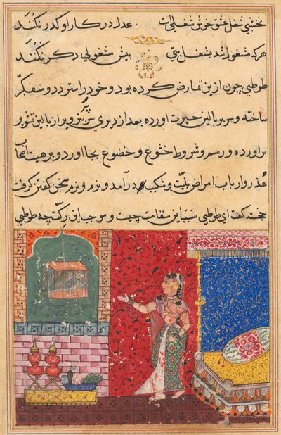 Seite aus Geschichten eines Papageis Tuti-nama: Fünfzehnte Nacht: Der Papagei spricht zu Khujasta..., 1558-156 von Unbekannt