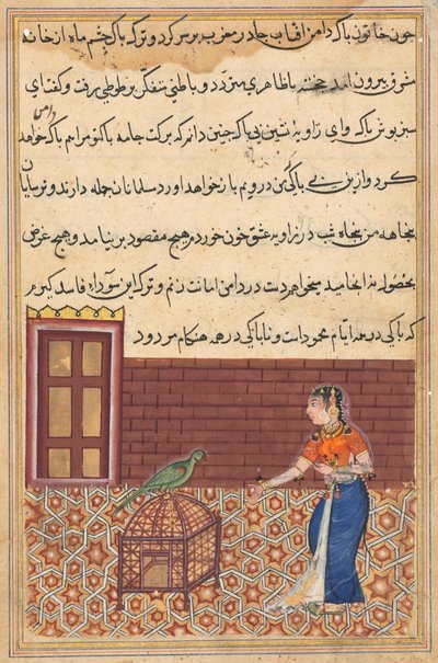 Seite aus Geschichten eines Papageis Tuti-nama: Einundfünfzigste Nacht: Der Papagei spricht Khujasta an..., ca. 156 von Unbekannt
