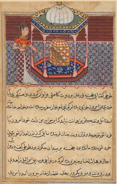 Seite aus Geschichten eines Papageis Tuti-nama: Zweiundfünfzigste Nacht: Der Papagei spricht Khujasta an..., ca. 1560 von Unbekannt