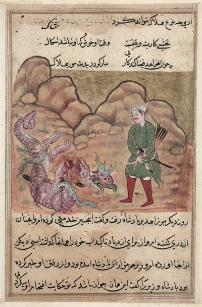 Seite aus den Geschichten eines Papageis Tuti-nama: Zweiundfünfzigste Nacht: Der Sohn des frommen Mannes..., um 1560 von Unbekannt