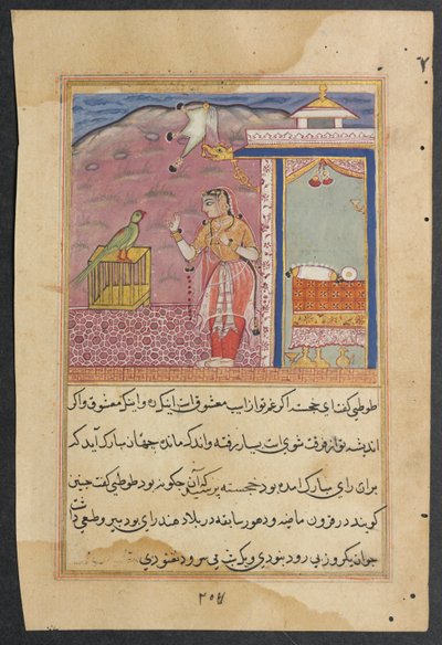 Seite aus Geschichten eines Papageis Tuti-nama: Vierundvierzigste Nacht: Der Papagei spricht..., ca. 1560 von Unbekannt