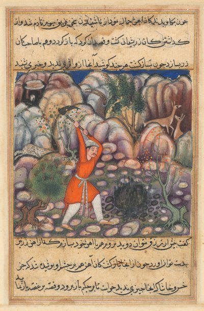 Seite aus Geschichten eines Papageis Tuti-nama: Siebenundvierzigste Nacht: Der vierte Mann gräbt..., ca. 1560 von Unbekannt