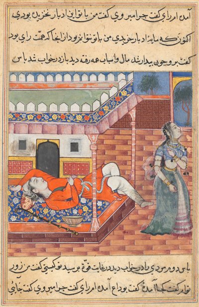 Seite aus Geschichten eines Papageis Tuti-nama: Sechsunddreißigste Nacht: Der König träumt von einer Dame..., ca. 1560 von Unbekannt