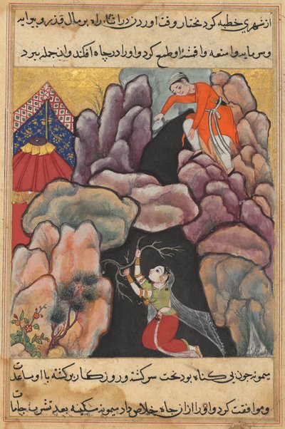Seite aus Geschichten eines Papageis Tuti-nama: Fünfundzwanzigste Nacht: Mukhtar wirft seine Frau..., ca. 1560 von Unbekannt