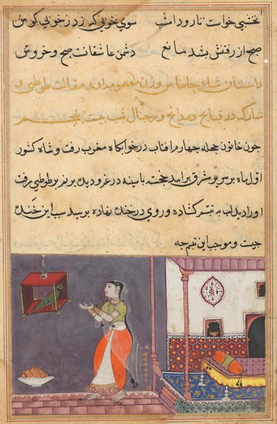 Seite aus Geschichten eines Papageis Tuti-nama: Fünfundzwanzigste Nacht: Der Papagei spricht zu Khujasta..., ca. 1560 von Unbekannt
