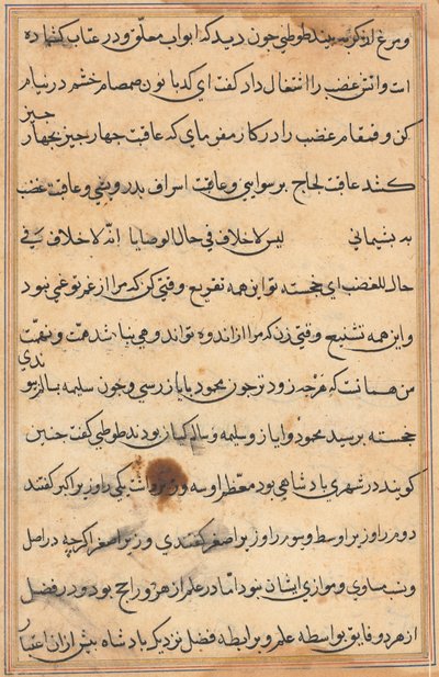 Seite aus den Geschichten eines Papageis Tuti-nama: Textseite, ca. 1560 von Unbekannt