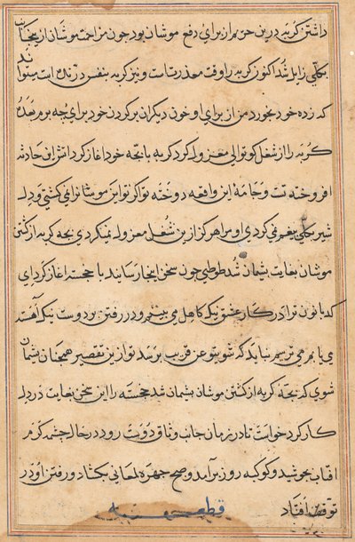 Seite aus den Geschichten eines Papageis Tuti-nama: Textseite, ca. 1560 von Unbekannt