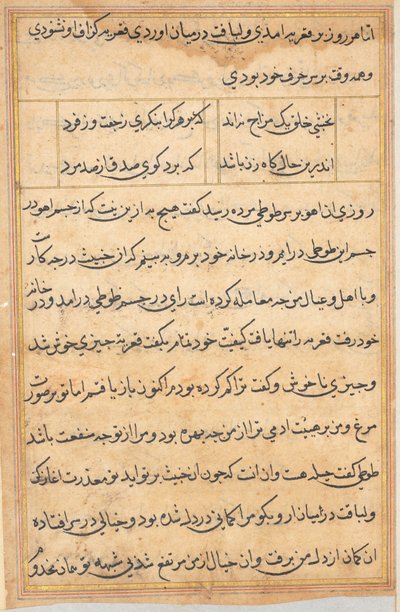 Seite aus Geschichten eines Papageis Tuti-nama: Textseite, ca. 1560 von Unbekannt