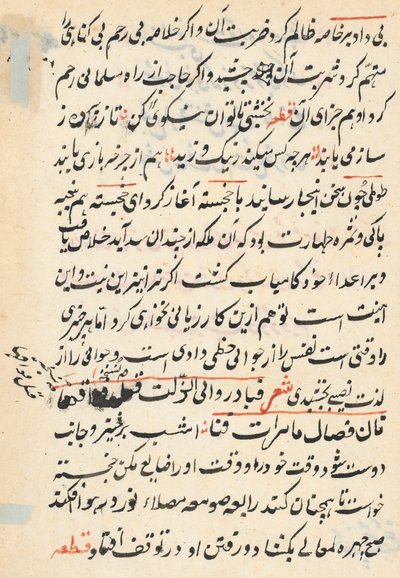 Seite aus den Geschichten eines Papageis Tuti-nama: Textseite, ca. 1560 von Unbekannt