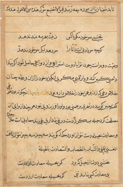 Seite aus Geschichten eines Papageis Tuti-nama: Textseite, ca. 1560 von Unbekannt