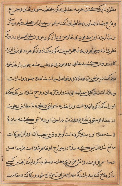 Seite aus Geschichten eines Papageis Tuti-nama: Textseite, ca. 1560 von Unbekannt