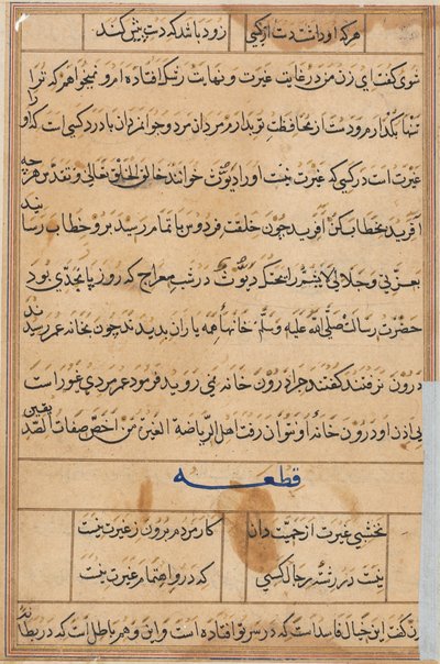 Seite aus Geschichten eines Papageis Tuti-nama: Textseite, ca. 1560 von Unbekannt