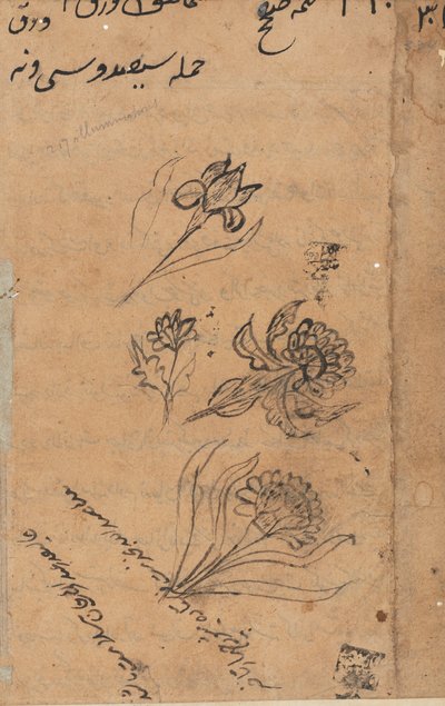 Seite aus den Geschichten eines Papageis Tuti-nama: Textseite, ca. 1560 von Unbekannt