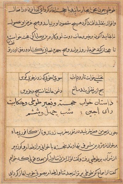 Seite aus Geschichten eines Papageis Tuti-nama: Textseite, ca. 1560 von Unbekannt