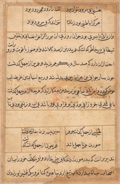 Seite aus Geschichten eines Papageis Tuti-nama: Textseite, ca. 1560 von Unbekannt