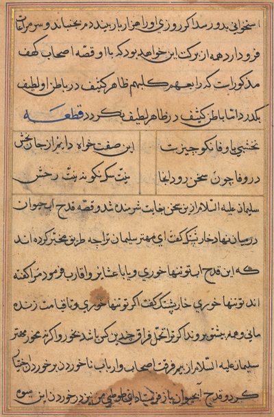 Seite aus Geschichten eines Papageis Tuti-nama: Textseite, ca. 1560 von Unbekannt