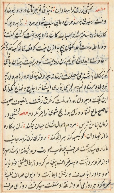 Seite aus Geschichten eines Papageis Tuti-nama: Textseite, ca. 1560 von Unbekannt