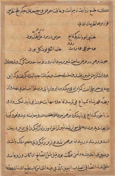 Seite aus den Geschichten eines Papageis Tuti-nama: Textseite, ca. 1560 von Unbekannt