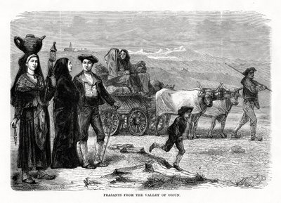 Bauern aus dem Tal von Ossun, Frankreich, 1879 von Unbekannt