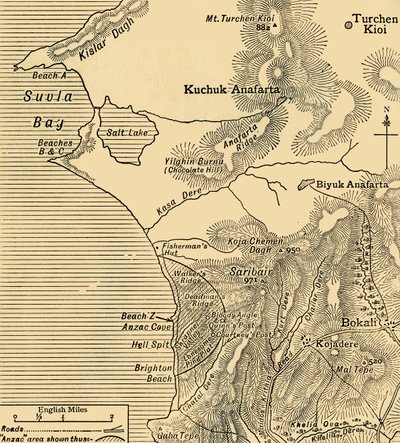 Positionen der ANZAC-Truppen auf der Halbinsel Gallipoli in der Türkei, Erster Weltkrieg, Juli 1915 von Unbekannt