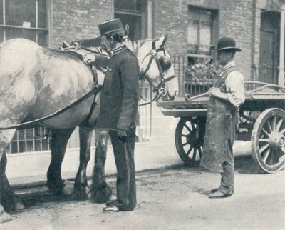 RSPCA-Inspektor untersucht ein Pferd, ca. 1903 von Unbekannt