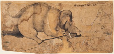 Der Elefant von Rao Ram Singh ist durchgedreht, ca. 1700 von Unbekannt