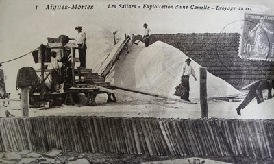 Salzwerke, Camargue, Aigues-Mortes, Provence, Frankreich von Unbekannt