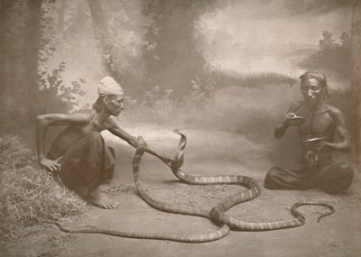 Schlangenbeschwörer mit Hamadryaden Kuy Kobras, 1900 von Unbekannt