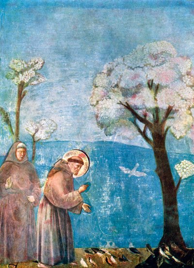 Der heilige Franziskus predigt den Vögeln, 1297-1299, ca. 1900-1920 von Unbekannt
