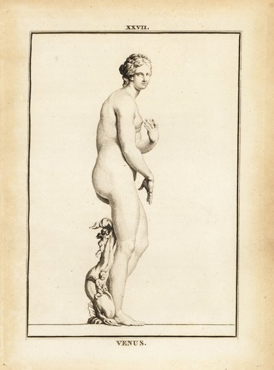 Statue der Venus, römische Göttin der Liebe, Schönheit, Sexualität und Fruchtbarkeit von Unbekannt