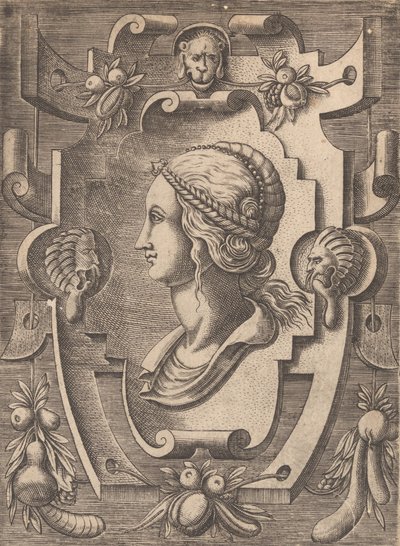 Targhe ed altri ornati di varie e capricciose invenzioni Kartuschen und andere Ornamente von Unbekannt