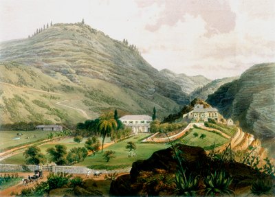 The Briars, St. Helena, frühes 19. Jahrhundert, 1851 von Unbekannt