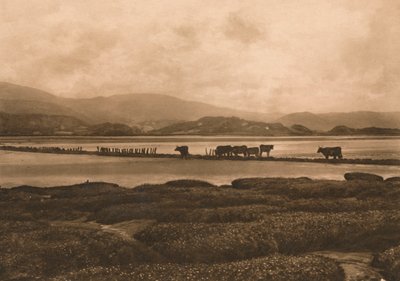 Der Dovey bei Ynyslas, 1902 von Unbekannt