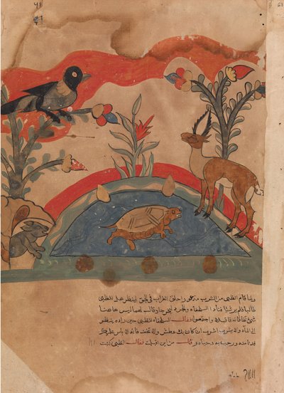 Die Gazelle wird Freunde mit der Krähe, der Maus und der Schildkröte von Unbekannt
