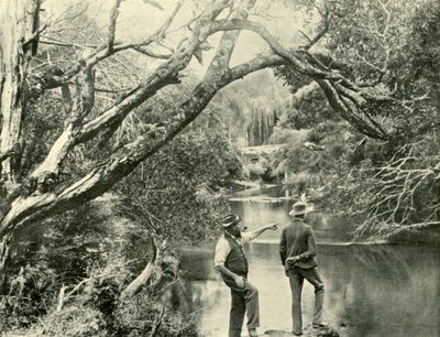 Der Startplatz, Upper Yarra, Victoria, 1901 von Unbekannt