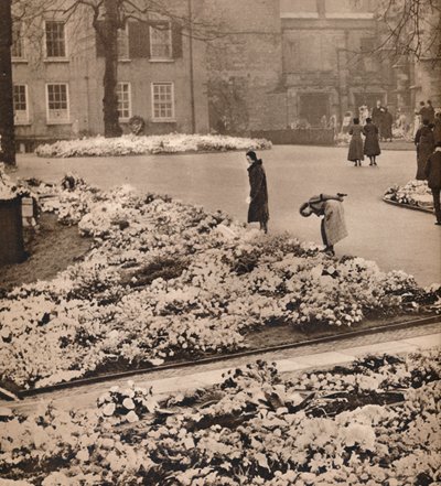 Das Staatsbegräbnis von König George V. in Windsor: Gedenkkränze, 1936 von Unbekannt