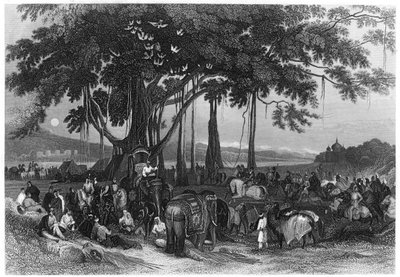 Die Ankunft der Kontingenttruppe der Sikh-Unregelmäßigen Kavallerie, Indien, ca. 1860 von Unbekannt