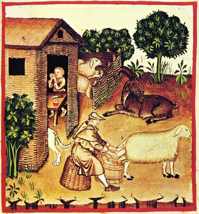 Die Käseherstellung. Eine Miniatur aus Tacuinum Sanitatis, zweite Hälfte des 14. Jahrhunderts von Unbekannt