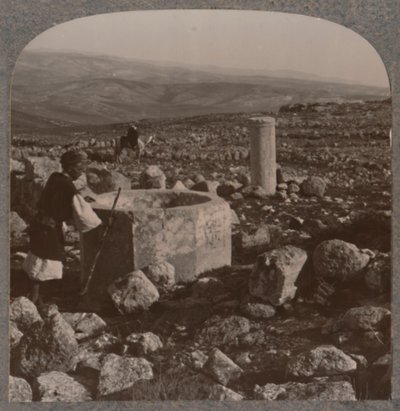 Die Ruinen von Tekoa, ca. 1900 von Unbekannt
