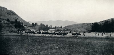 Korn dreschen auf die alte Weise, 1911 von Unbekannt
