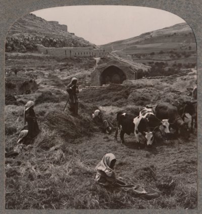 Getreide dreschen in der Nähe von Jacobs Brunnen, um 1900 von Unbekannt
