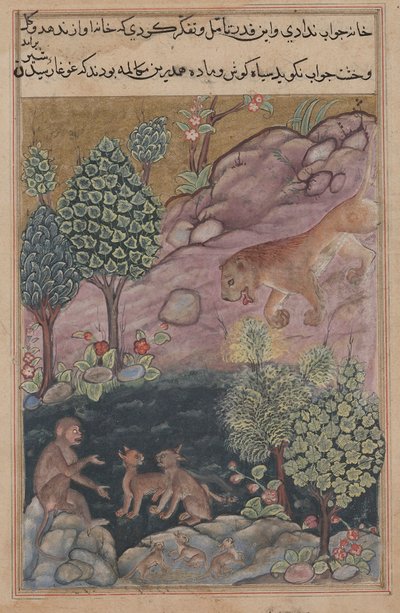 Tuti-Nama Geschichten eines Papageis: Geschichte XXIX, Der Löwe kehrt in sein Territorium zurück und sieht, ca. 1560 von Unbekannt