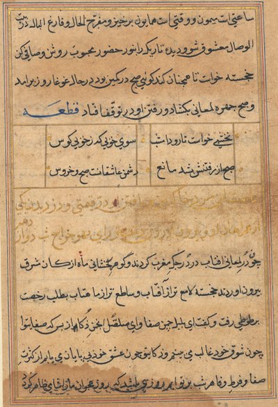 Tuti-Nama Geschichten eines Papageis, ca. 1560 von Unbekannt