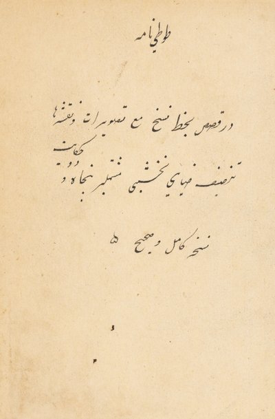 Tuti-Nama Geschichten eines Papageis, ca. 1560 von Unbekannt