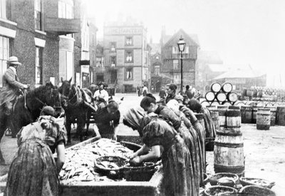 Vereinigtes Königreich: Schottische Heringsputzer bei der Arbeit in Scarborough, ca. 1890 von Unbekannt