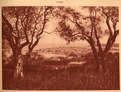Blick durch die Olivenbäume auf Antibes, 1930 von Unbekannt