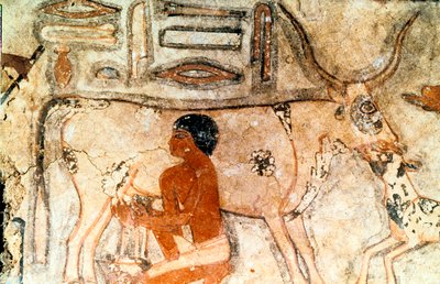 Wandmalerei aus dem Grab von Methethi, Saqqara, Altes Ägypten, Altes Reich, ca. 2371-2350 v. Chr. von Unbekannt